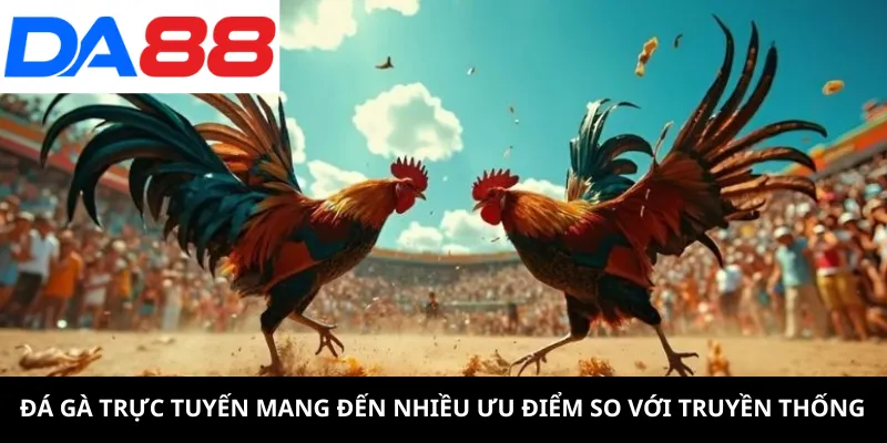 Đá gà trực tuyến mang đến nhiều ưu điểm so với truyền thống