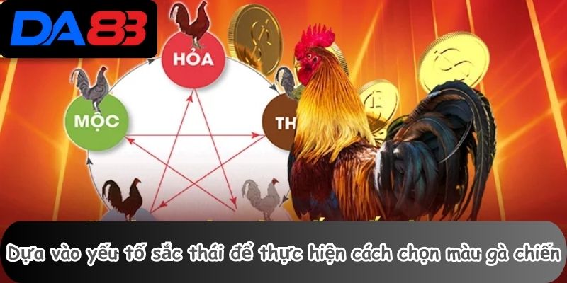 Dựa vào yếu tố sắc thái để thực hiện cách chọn màu gà chiến