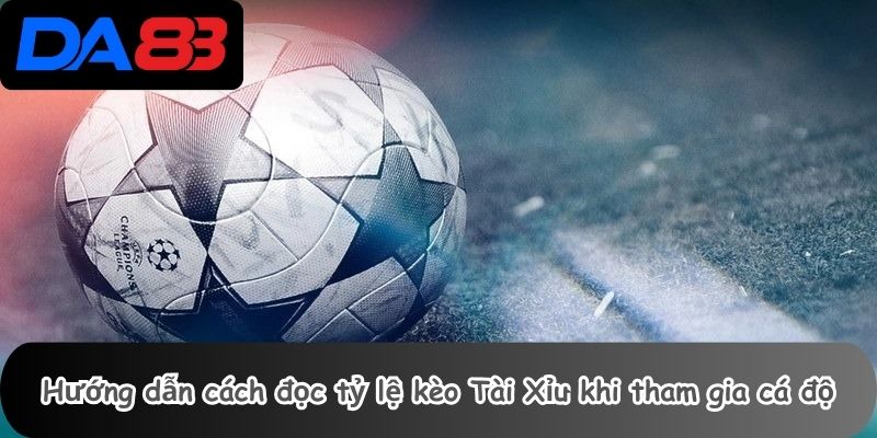Hướng dẫn cách đọc tỷ lệ kèo Tài Xỉu khi tham gia cá độ
